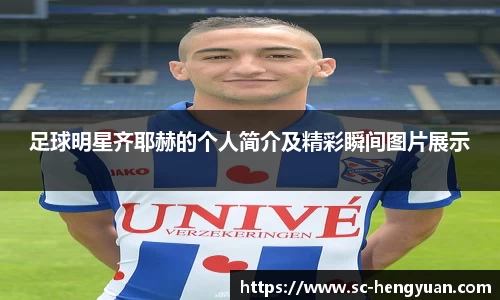 足球明星齐耶赫的个人简介及精彩瞬间图片展示